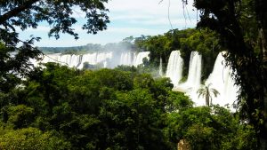 Spectacular view of Iguazu Falls cascading through lush rainforest, a natural wonder showcasing vibrant greenery and powerful water flow.